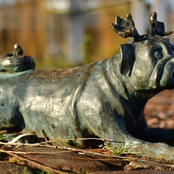 2026-01-08 Brandenburg an der Havel/Waldmöpse/DSC_2213.JPG